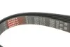 Ремень генератора W202/210 M112/113 97- (WP,PS) Gates 6PK2315 (фото 2)