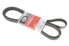 Ремень поликлиновый Gates 6PK2500