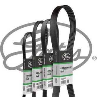 Дорожный пас Gates CB0005