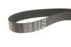 Роликовый модуль натяжителя ремня (ролик, ремень) Gates K017PK1685 (фото 8)