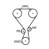 ZESTAW ROZRZ. CITROEN C3 Gates K07T360HOB (фото 2)