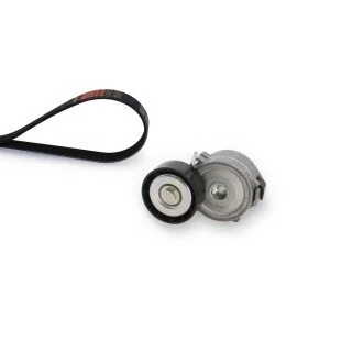 Комплект поликлинових ременів (з роликами) LAND ROVER DISCOVERY SPORT, RANGE ROVER EVOQUE 2.2D 06.11- Gates K156PK1203