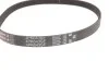 Роликовый модуль натяжителя ремня (ролик, ремень) Gates K266PK1555 (фото 5)
