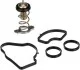 TERMOSTAT TH63988G1