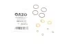 Ремкомплект форсунки GAZO GZ-A1119