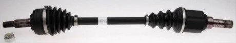 POLOS LE GKN (Lobro) 306733