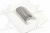 Вкладиш шатунний 71-4806/6 STD