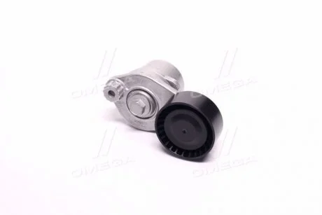 Роликовый модуль натяжителя ремня GM 25196627