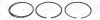 Кільця поршневі Peugeot 306/406/Citroen Jumper/Fiat Ducato 2.0 94-02 (86.00mm/STD) (1.5-1.75-3) 0815460010