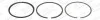 Кільця поршневі BMW 1 (F20/F21)/3 (F30/F80) 1.4-2.0i (N13) (77.00mm/STD) (1.2-1.5-2)(відкриті) 0844480010