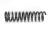 Пружина передня MB W124 -95 200-230E/200D RP0116
