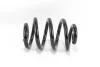 Пружина передня Master/Movano 98- RP0243