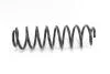 Пружина задня Skoda Fabia 99- RP1074