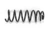 Пружина задня Fiat Scudo 07-16 RP1163
