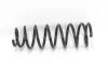 Пружина задня Toyota Corolla 02-07 (універсал)(336х108х11 мм) GOODREM RP1240 (фото 1)