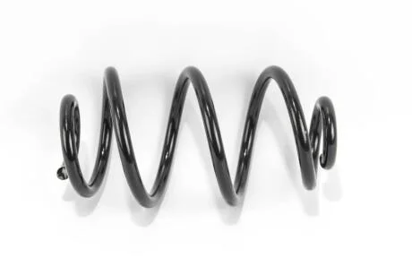 Пружина задня Renault Clio III/Modus 05- GOODREM RP1263 (фото 1)