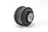Подушка двигуна MB C/E-клас (W202/W203/W210/W211) GOODREM RR3699 (фото 3)