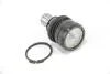Опора кульова (передня/знизу) Lancer 03-/Outlander 06-12/Citroen C4 12- GOODREM RS6527 (фото 3)