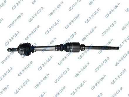 PвИoШ prawa GSP 245165