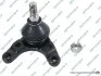 SWORZEN WAHACZA PRZOD L/P S080464
