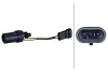 Sensor, speed/RPM HELLA 6PU009145381 (фото 1)
