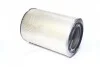 E272L     (HENGST)