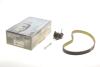 Комплект ГРМ Land Rover Discovery/Range Rover 2.7D 04- (82zx20) 20-2079