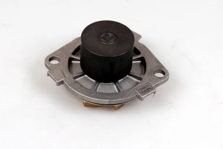 Насос води HEPU P1053