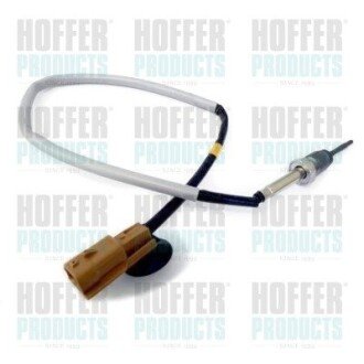Датчик HOFFER 7452018