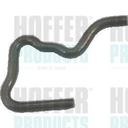 Удерживающая пружина HOFFER 8029215 (фото 1)