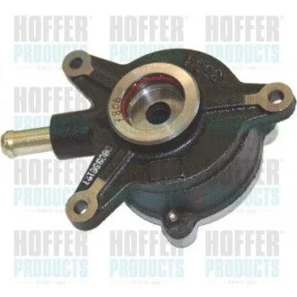 Механічний вакуумний насос HOFFER 8091088