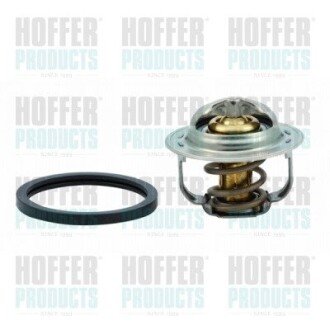 Термостат системи охолодження HOFFER 8192760