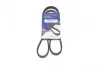PASEK WIELOROWKOWY R-SAFRAN (M.J8) 1045K4