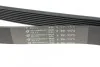 Ремінь поліклінової Mazda 6 2.0DI (02-) HUTCHINSON 1173K8 (фото 3)