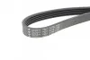 Ремень поликлиновой 5PK1175 HUTCHINSON 1175K5 (фото 4)