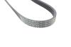 PASEK WIELOROWKOWY PSA/RENAULT HUTCHINSON 775K5 (фото 2)