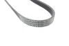 PASEK WIELOROWKOWY PSA/RENAULT HUTCHINSON 775K5 (фото 2)