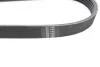 PASEK WIELOROWKOWY PSA/RENAULT HUTCHINSON 775K5 (фото 3)