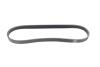 PASEK WIELOROWKOWY PSA/RENAULT HUTCHINSON 775K5 (фото 5)