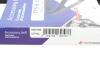 PASEK WIELOROWKOWY PSA/RENAULT HUTCHINSON 775K5 (фото 6)