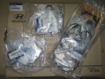 Прокладки двигуна (к-т) Hyundai/Kia/Mobis 209103EA00 (фото 1)
