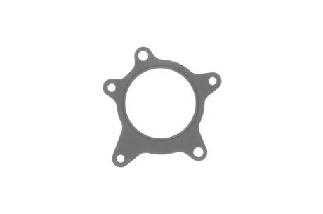 Прокладка водяного насоса Hyundai/Kia/Mobis 251242b000