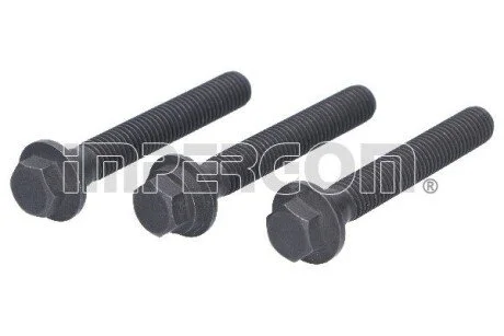 Śruby koła pasowego kpl. DUCATO TRANSIT/BOXER IMPERGOM 41017 (фото 1)