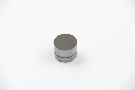 Толкатель клапана T4 1.9TD/T5/Caddy III 2.0i/2.5i/VW/Audi/Skoda INA 420 0043 10
