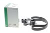 Комплект ремня генератора BMW 3 (G20/G80/G28)/5 (G30/F90) 2.0DH 19- B47 (8PK1162) INA 529056810 (фото 2)