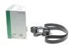 Комплект ремня генератора BMW 3 (G20/G80/G28)/5 (G30/F90) 2.0DH 19- B47 (8PK1162) INA 529056810 (фото 2)