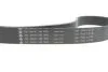 Комплект ремня генератора BMW 3 (G20/G80/G28)/5 (G30/F90) 2.0DH 19- B47 (8PK1162) INA 529056810 (фото 4)