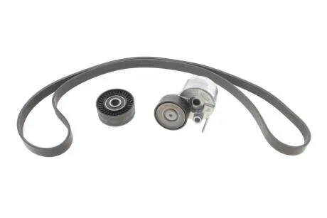 Комплект поліклинових ременів INA 529 0591 10 (фото 1)