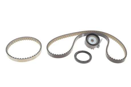 Комплект зубчастих ременів INA 530 0960 10