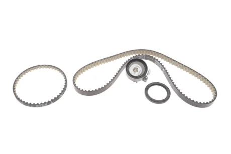 Комплект ГРМ (ремінь + ролик) FORD B-MAX, C-MAX II, ECOSPORT, FIESTA VI, FIESTA VII, FOCUS III, FOCUS III/HATCHBACK, FOCUS III/KOMBI, FOCUS IV, GRAND C-MAX, MONDEO V 1.0-2.0 02.12- INA 530096110
